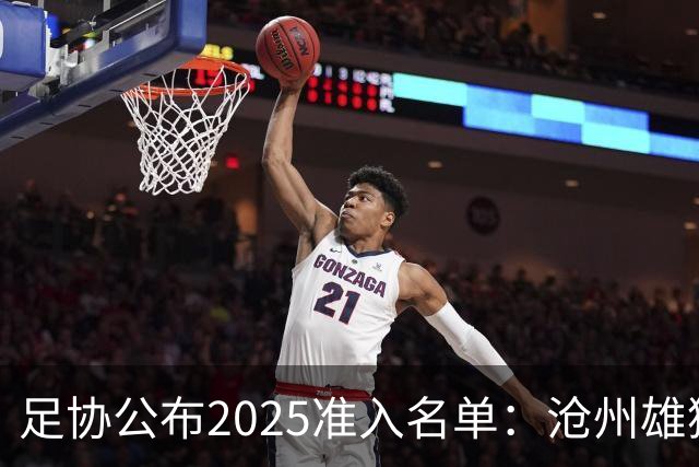 足协公布2025准入名单：沧州雄狮、广州队无缘