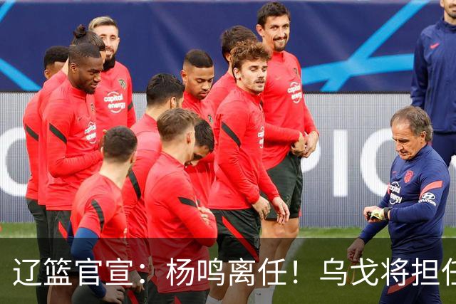 辽篮官宣：杨鸣离任！乌戈将担任辽宁男篮主帅